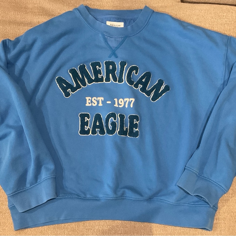 American Eagle Outfitters Vibrant Blue Crewneck Sweater